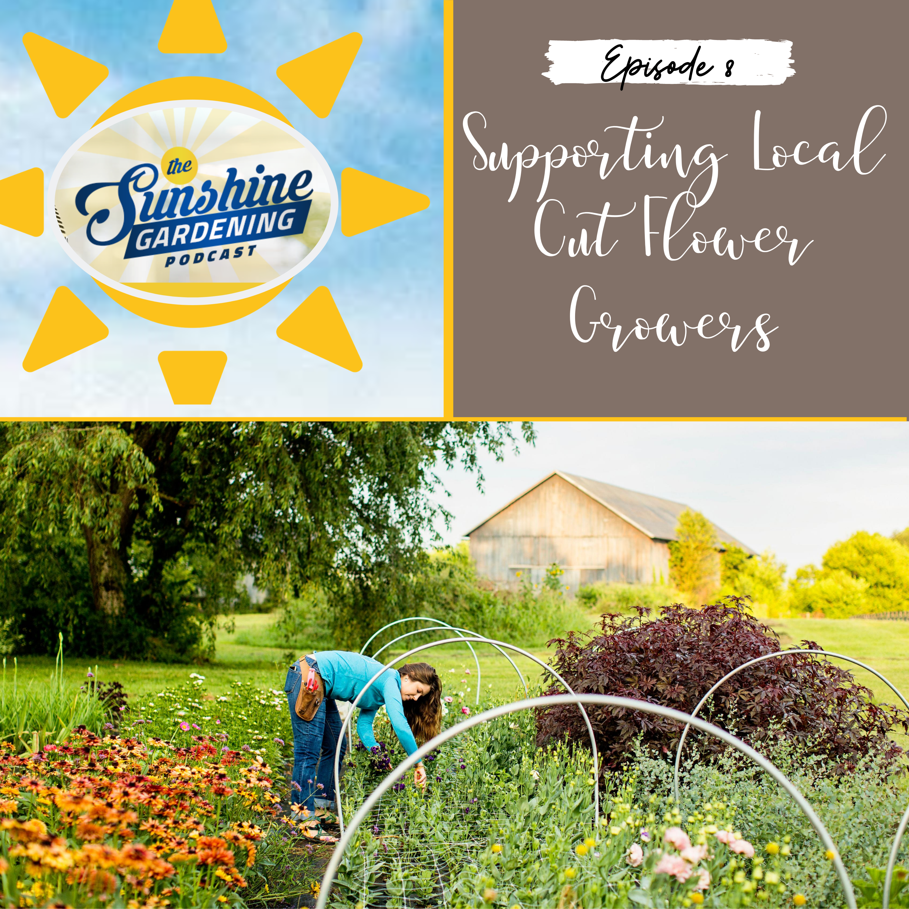 Episode 8- Supporting Local Cut Flower Growers