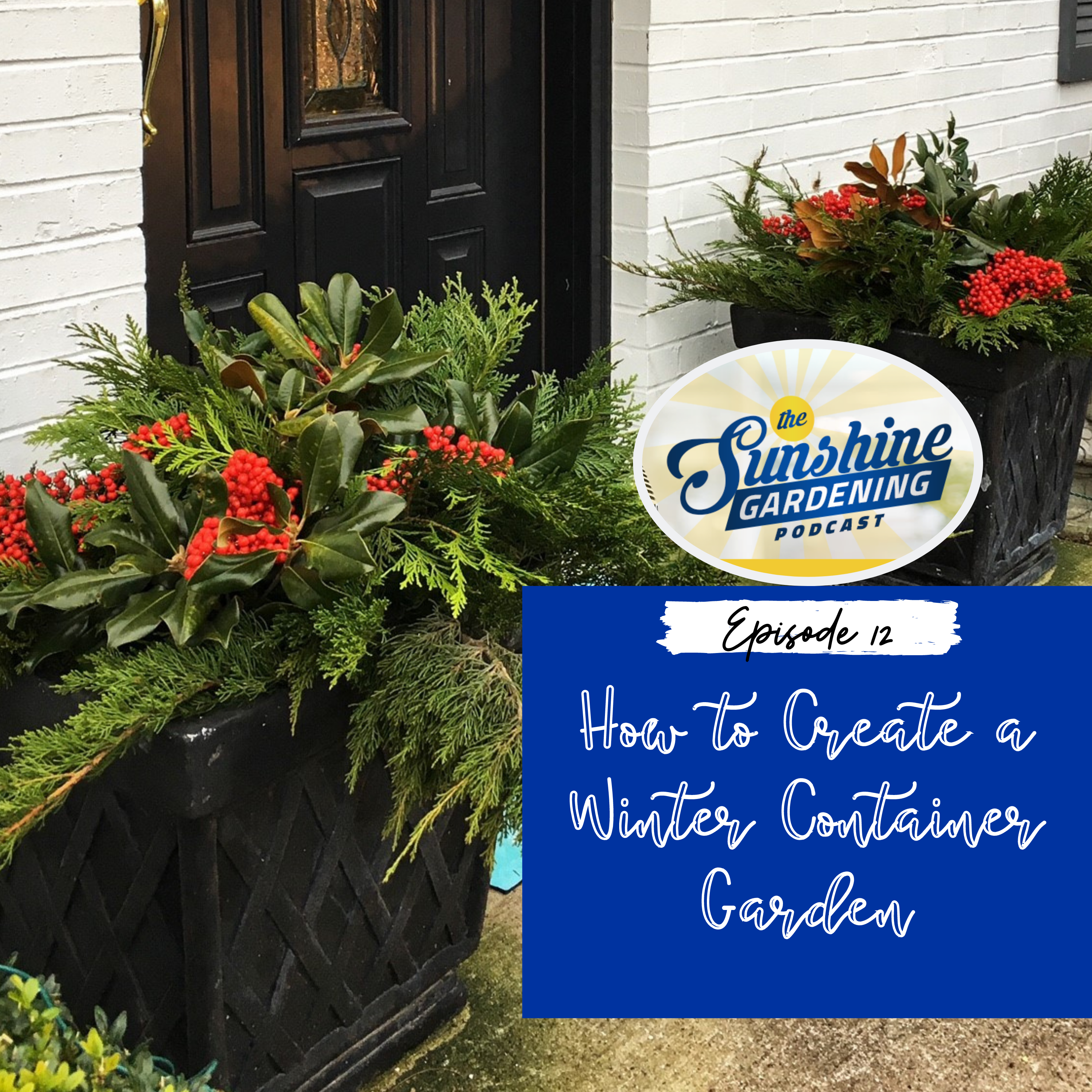 Create a Winter Container Garden