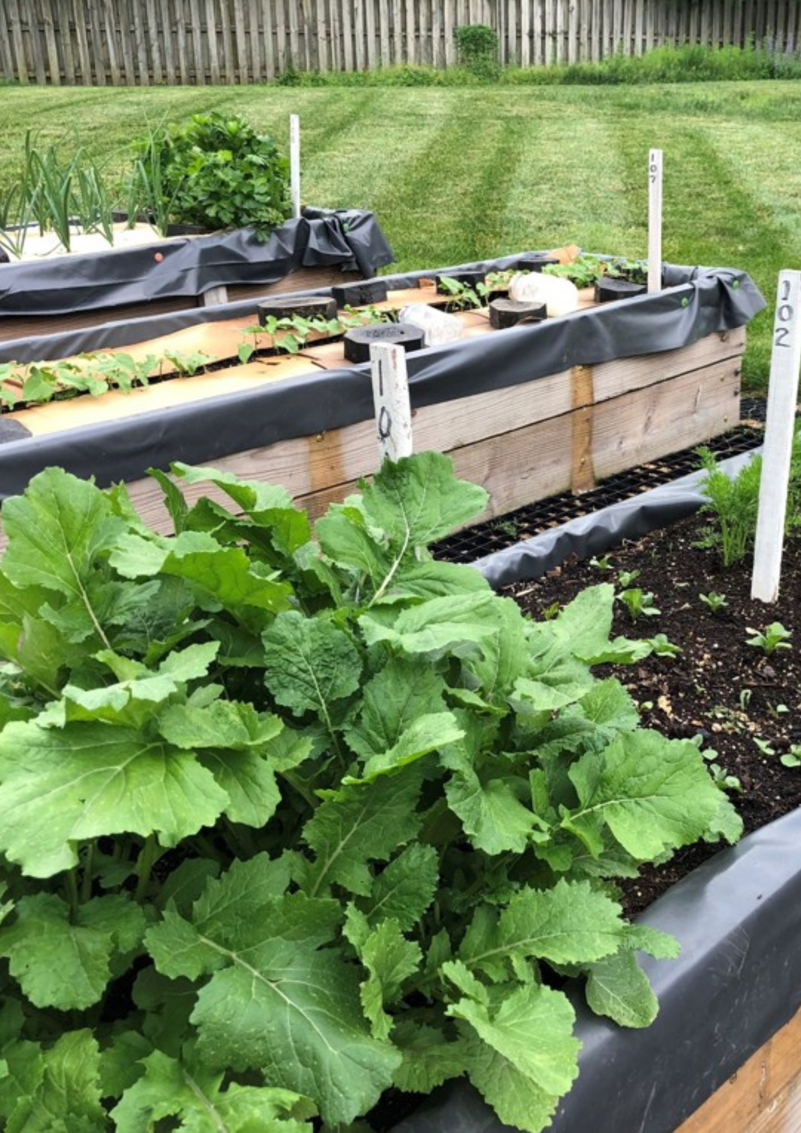 How to Build Self-Wicking Containers and Raised Bed Gardens