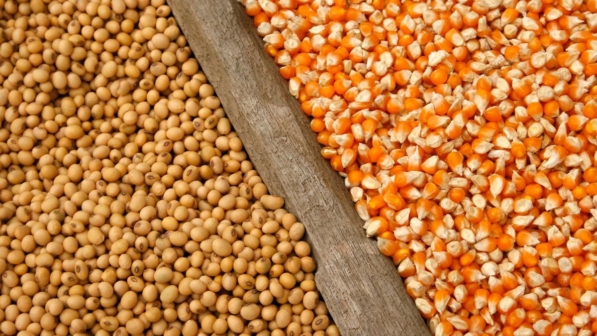 Emergency Commodity Assistance Program (ECAP) Available