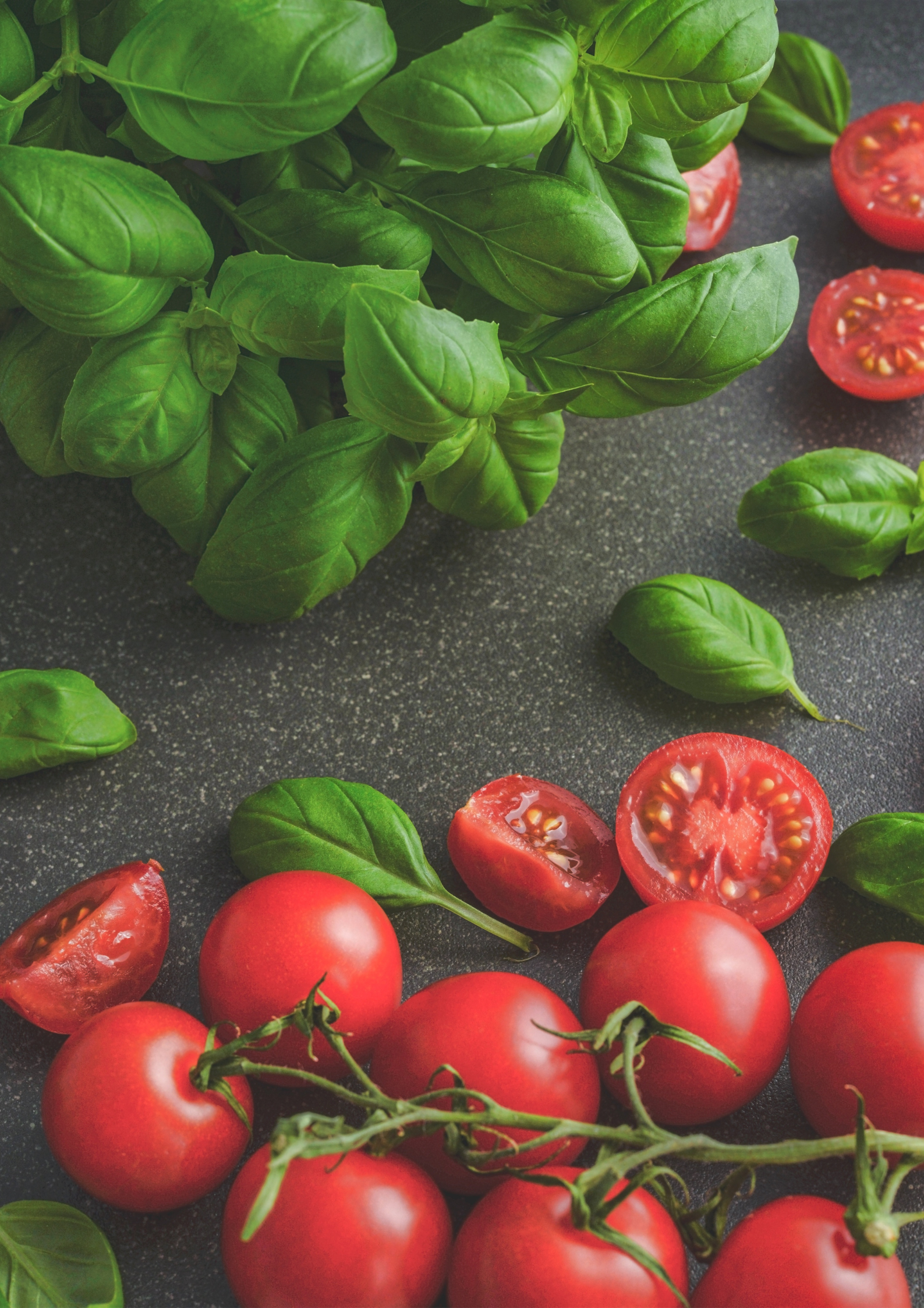 How to Grow Basil in Kentucky