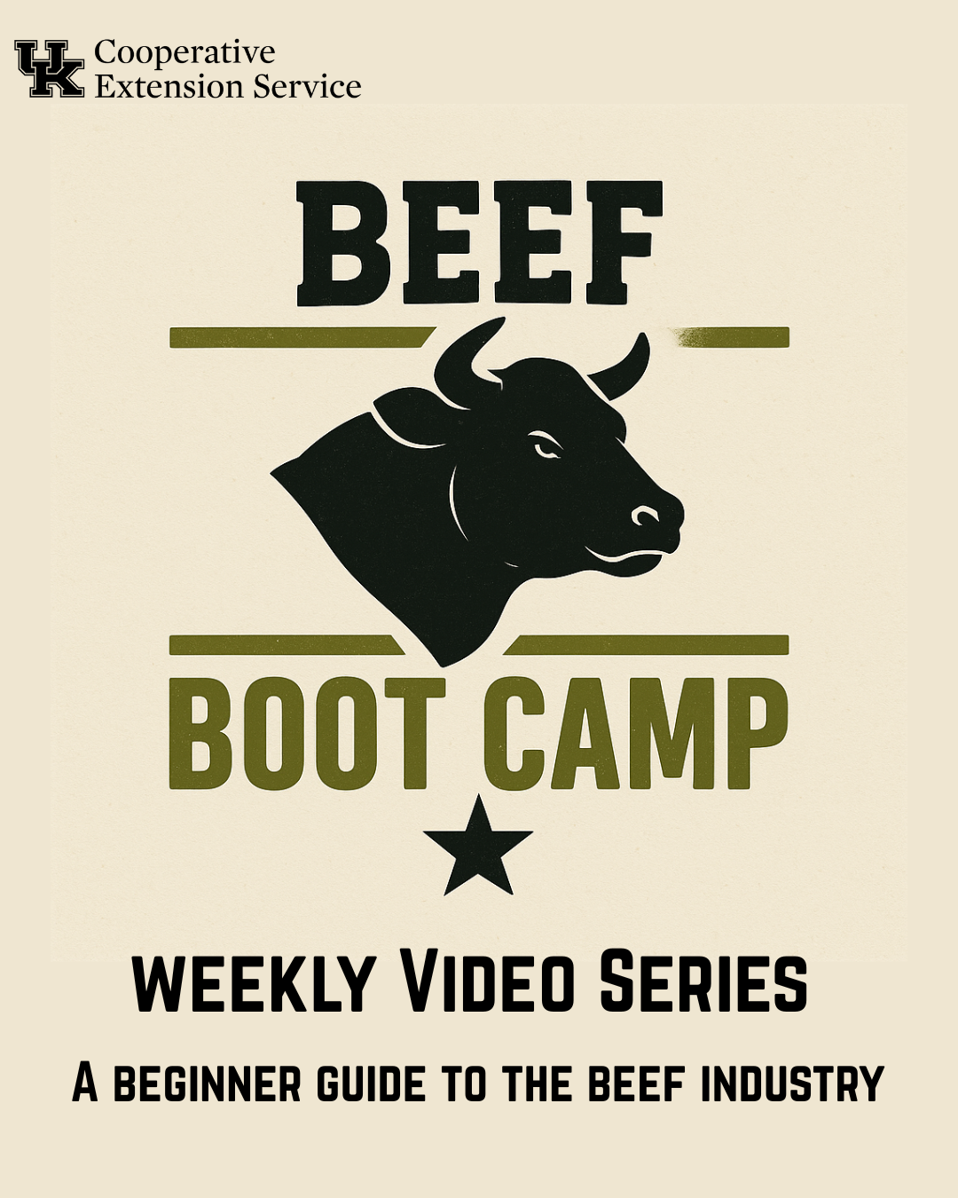 Beginner’s Guide to Beef Farming: Join the Beef Bootcamp