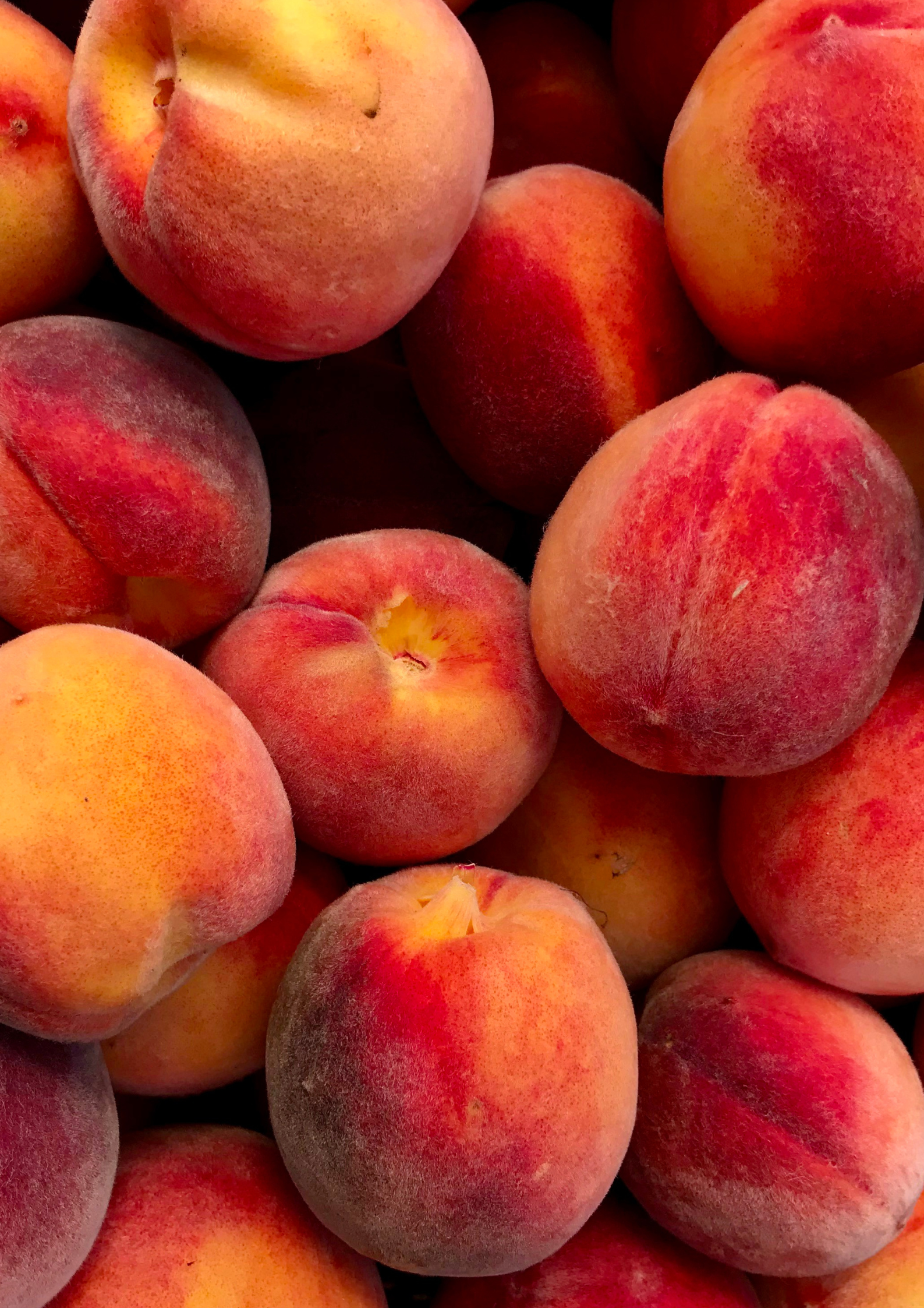 Delight in the Flavors of Peach Season in Kentucky